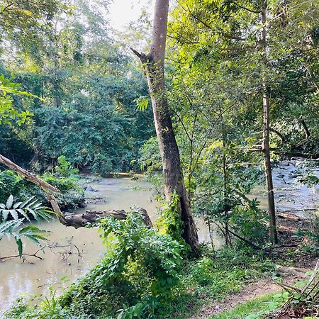 Yala Safari River View Hotel Tissamaharama Esterno foto
