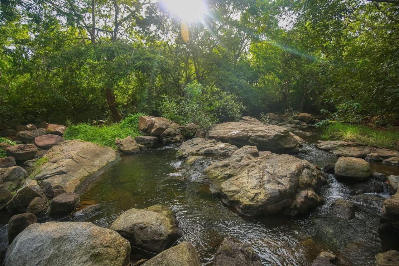 Yala Safari River View Hotel Tissamaharama Esterno foto