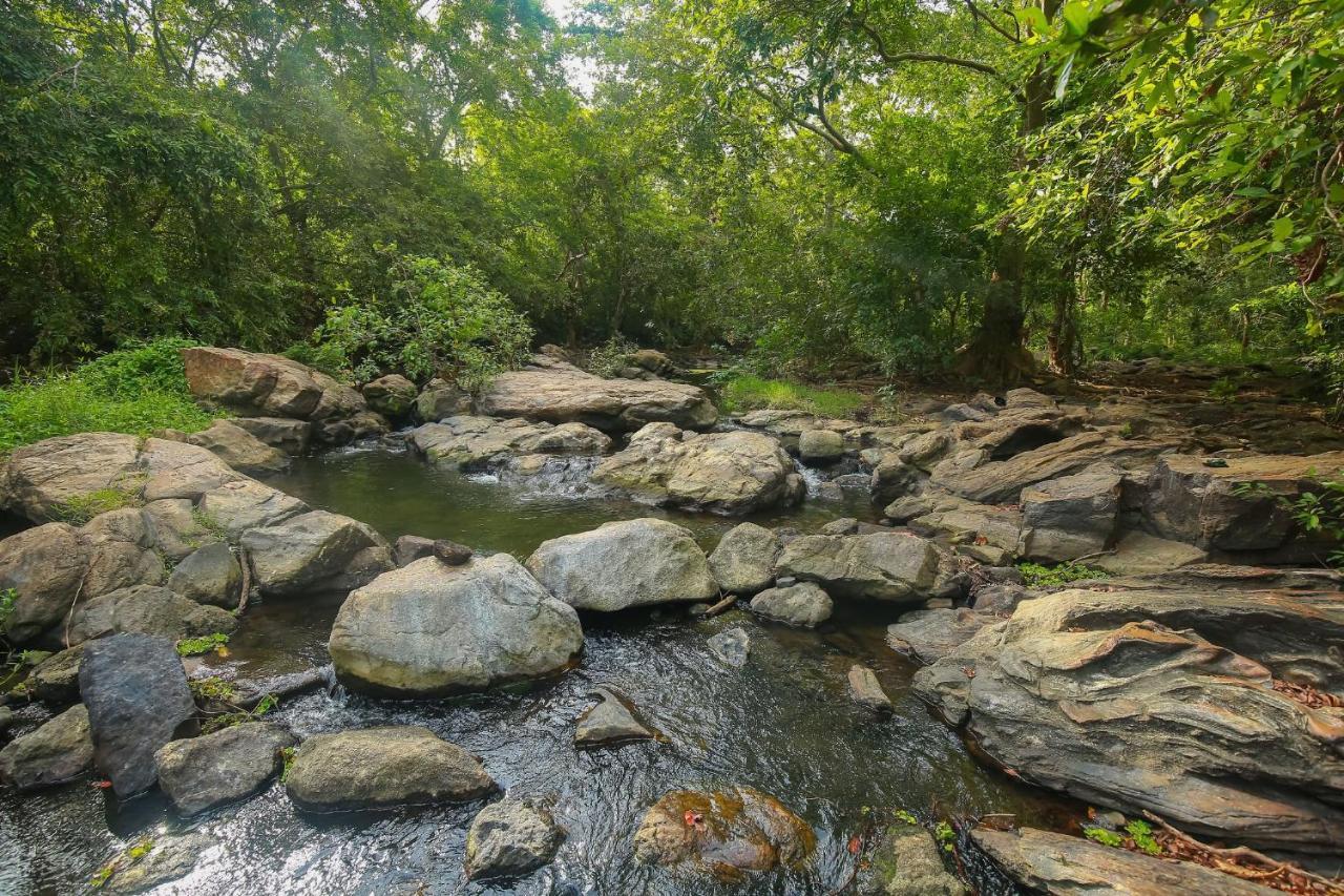 Yala Safari River View Hotel Tissamaharama Esterno foto
