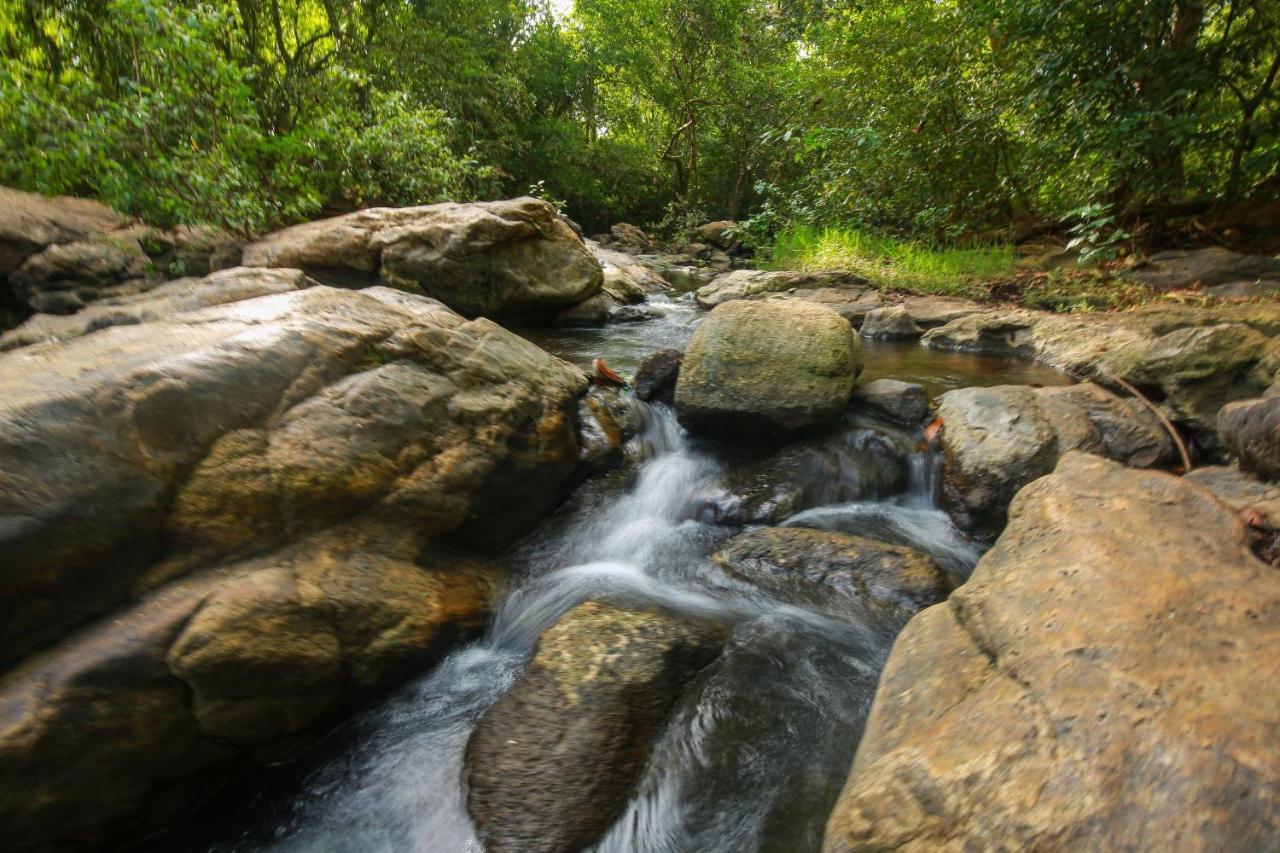 Yala Safari River View Hotel Tissamaharama Esterno foto