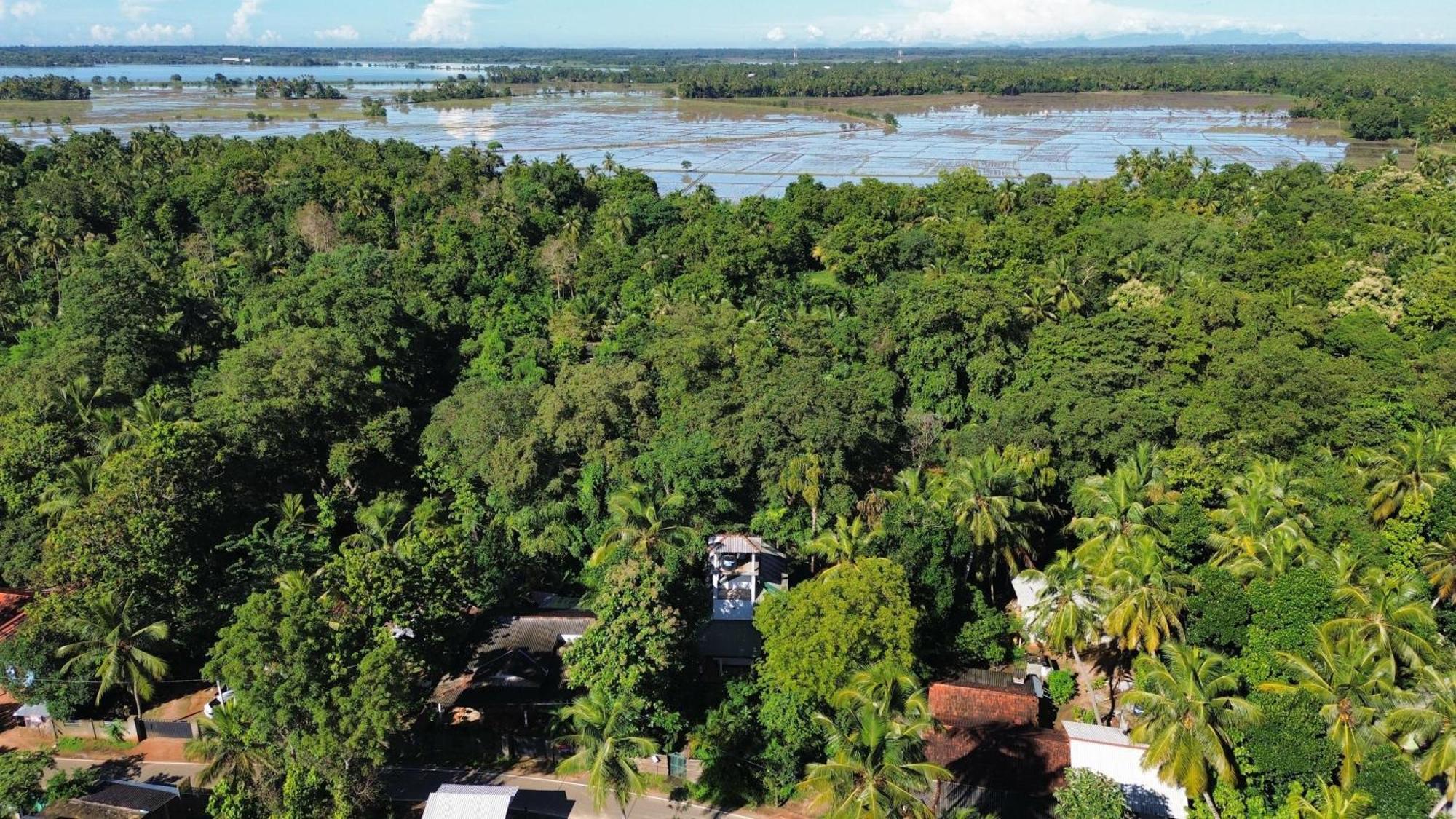 Yala Safari River View Hotel Tissamaharama Esterno foto