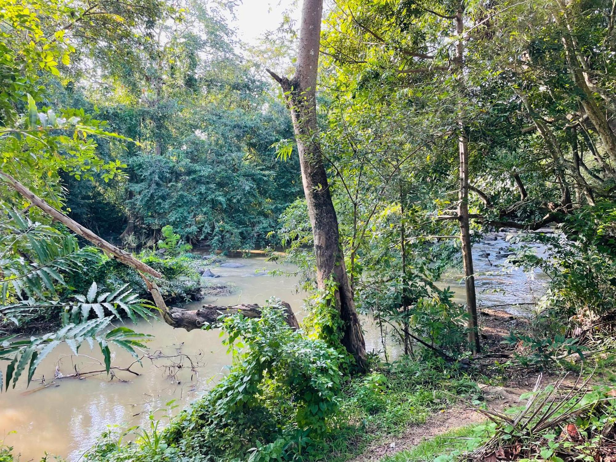 Yala Safari River View Hotel Tissamaharama Esterno foto