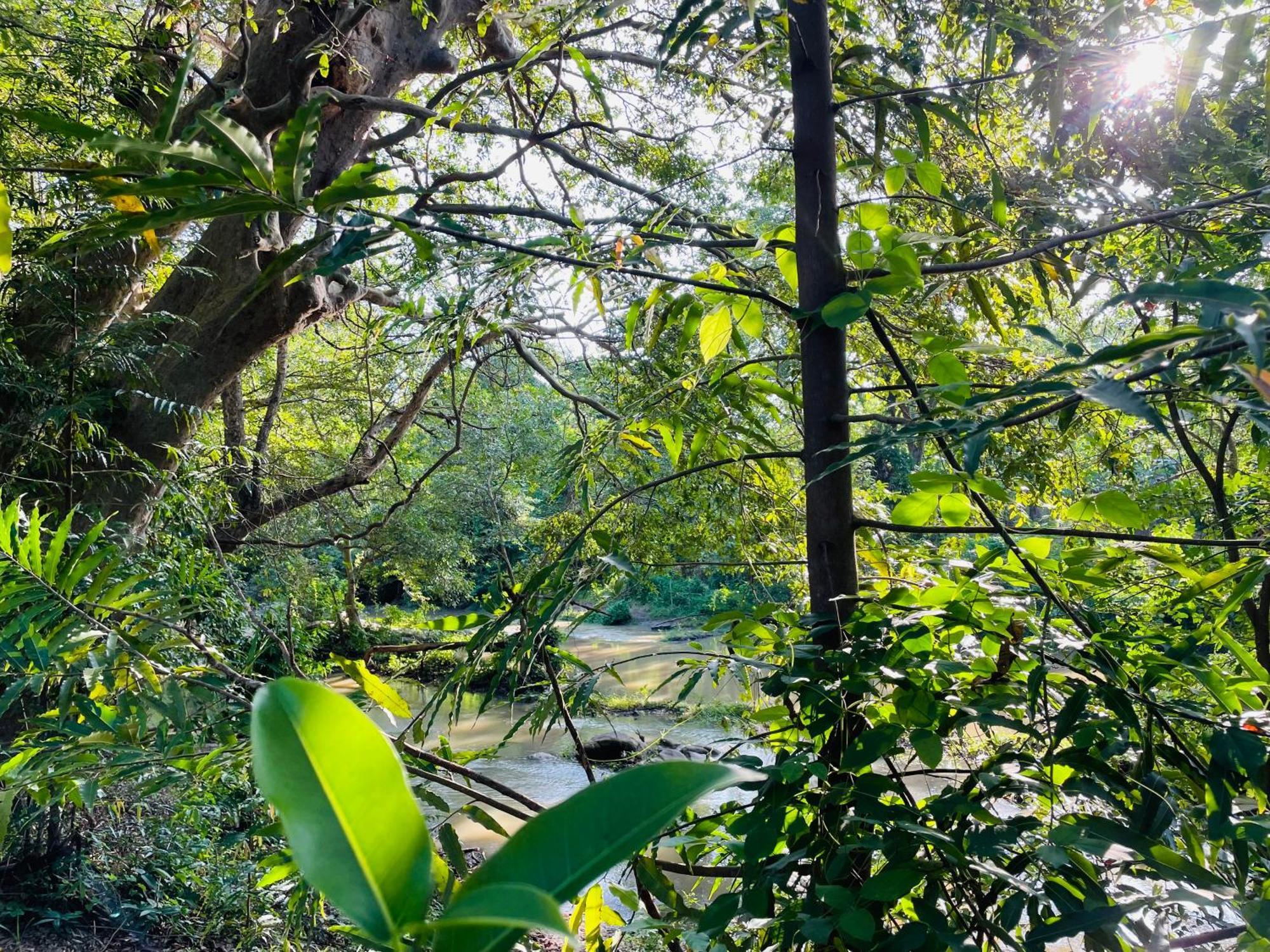 Yala Safari River View Hotel Tissamaharama Esterno foto