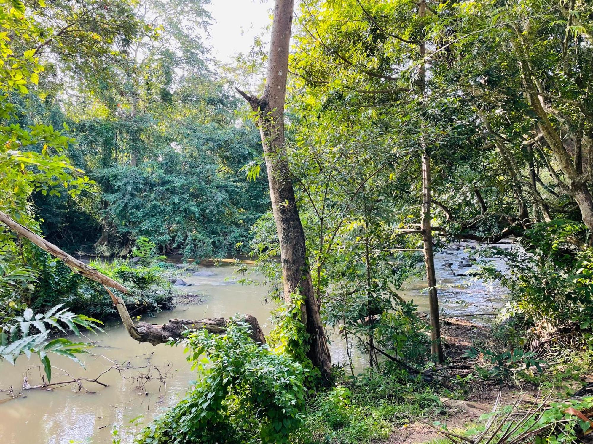 Yala Safari River View Hotel Tissamaharama Esterno foto