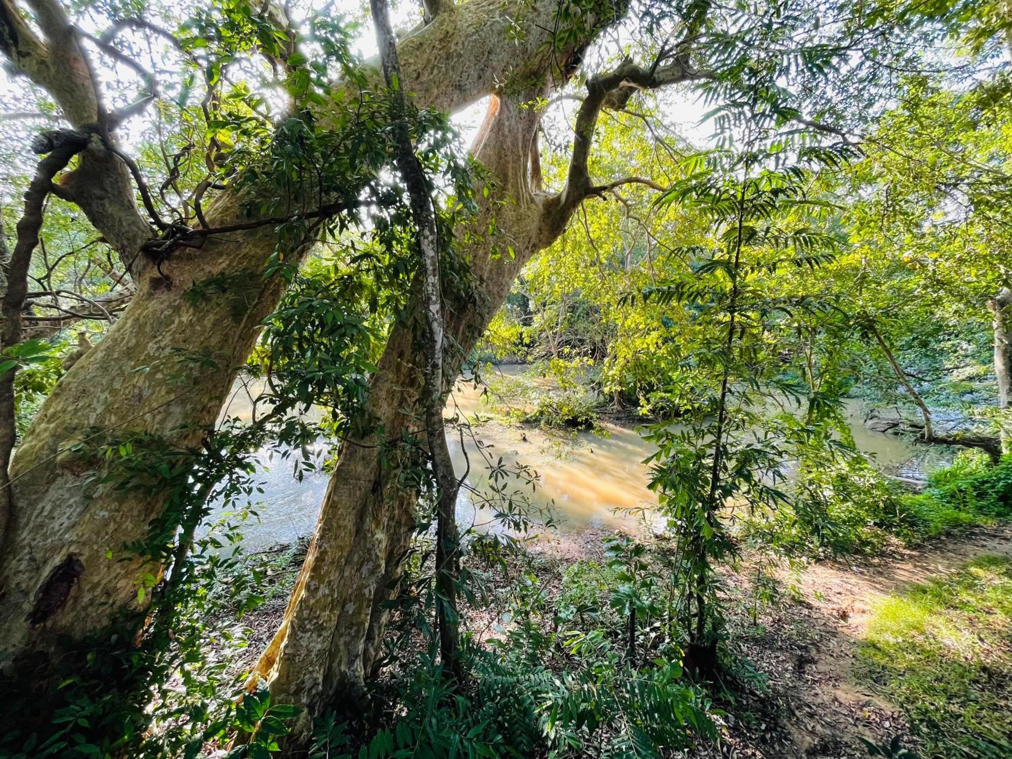 Yala Safari River View Hotel Tissamaharama Esterno foto