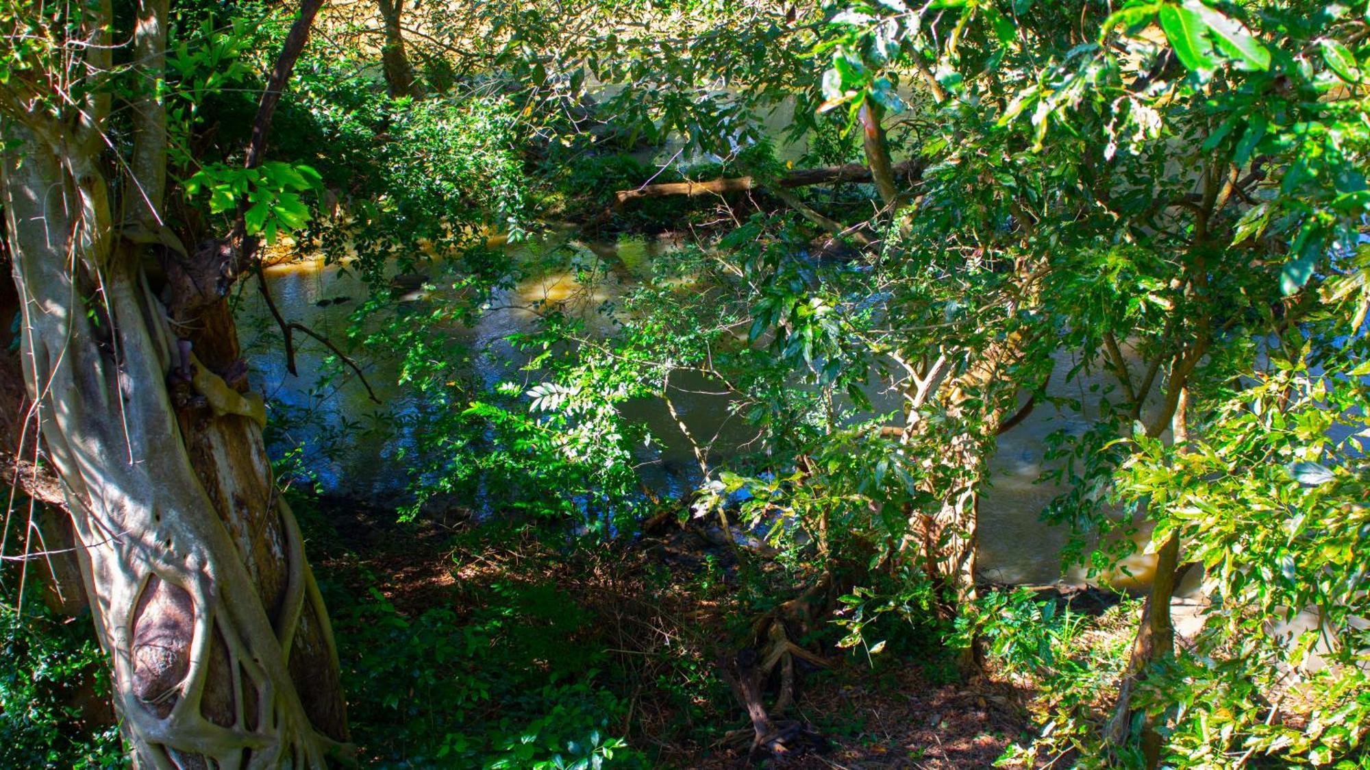 Yala Safari River View Hotel Tissamaharama Esterno foto