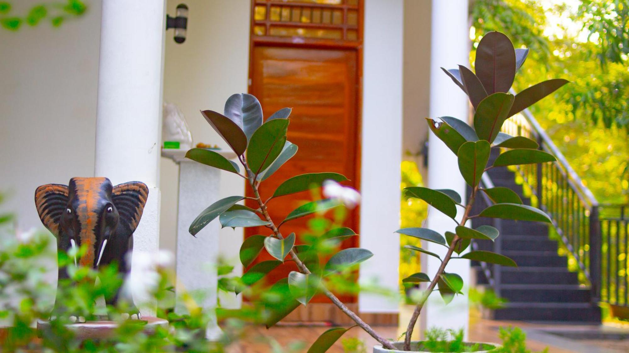 Yala Safari River View Hotel Tissamaharama Esterno foto